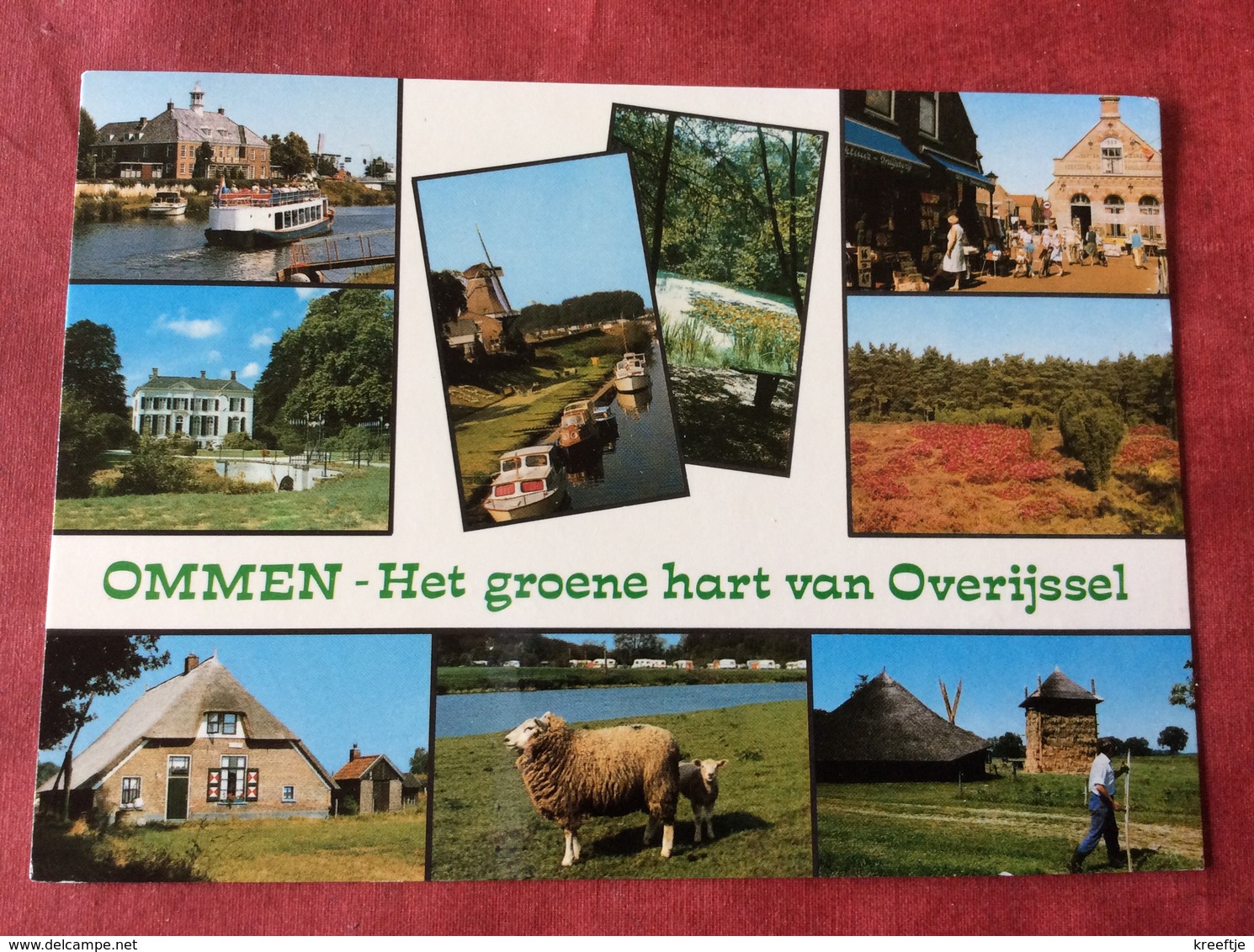 Nederland. Pays-Bas. Holland. Ommen - Het Groene Hart Van Overijssel ( Schaap ) - Ommen