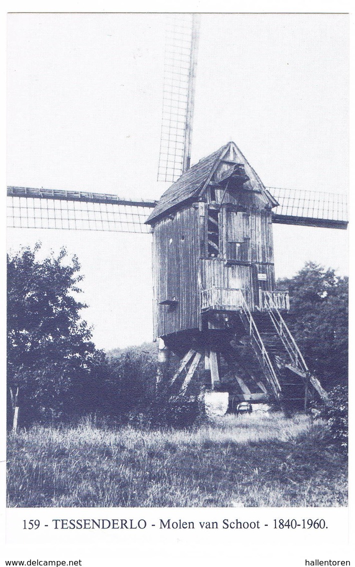 Tessenderlo: Molen Van Schoot (2 Scans) - Tessenderlo