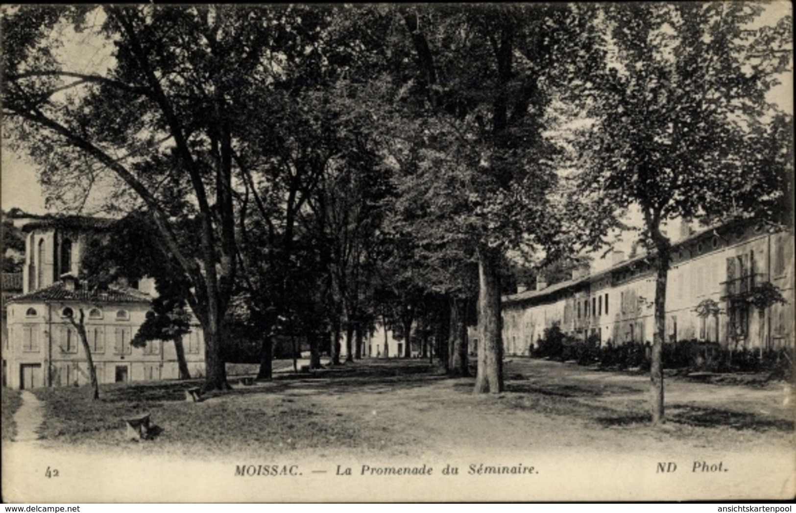 Cp Moissac Tarn Et Garonne, La Promenade Du Séminaire - Autres & Non Classés