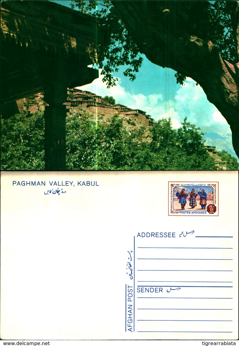 11632a)cartolina  Paghman Valley,kabull - Afganistán