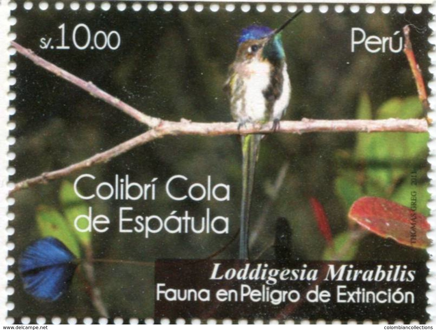 Lote P2011-7, Peru, 2011, Sello, Stamp, Colibri, Fauna In Danger Of Extinction, Ave, Humming Bird - Perú