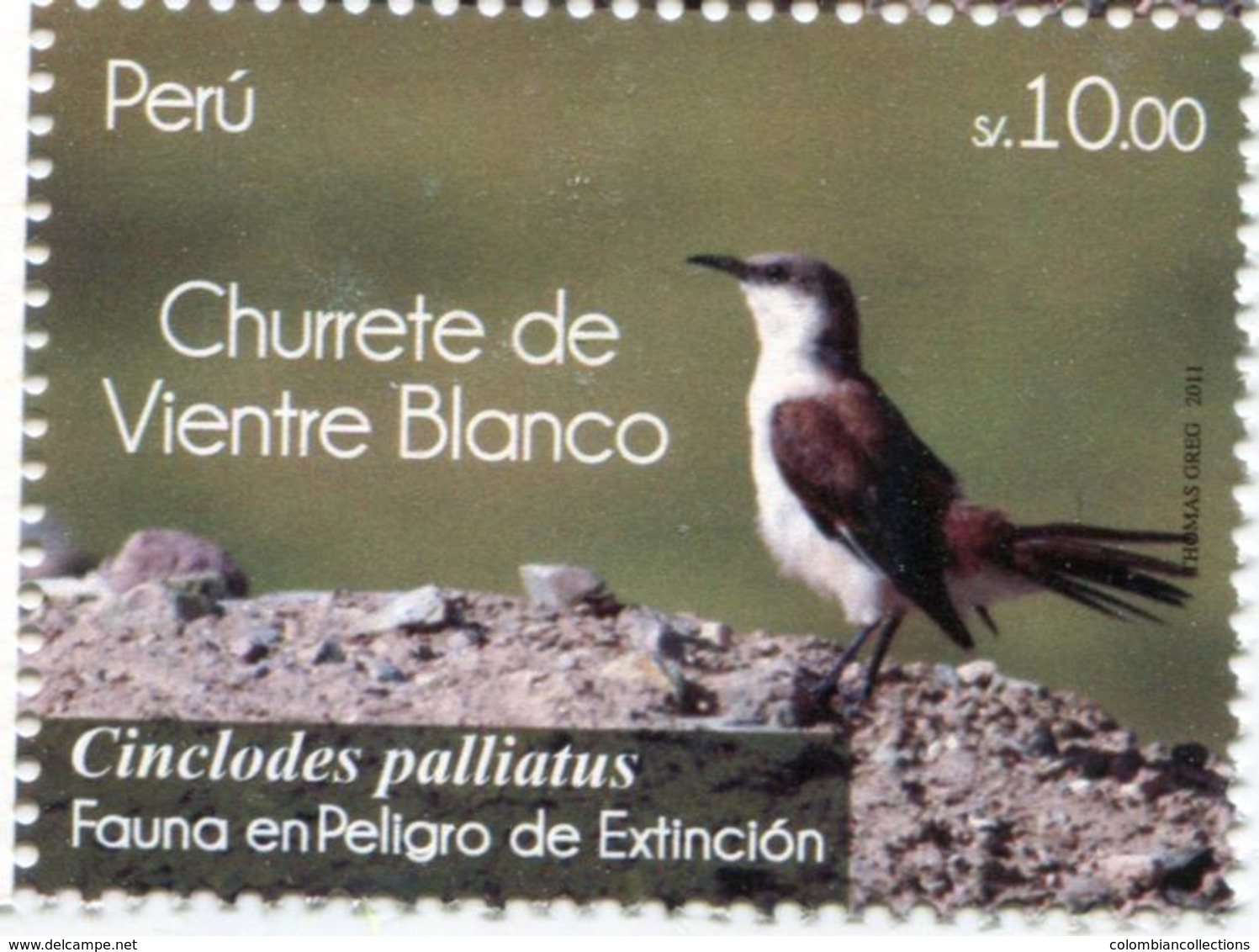 Lote P2011-8, Peru, 2011, Sello, Stamp, Churrete De Viente Blanco, Fauna In Danger Of Extinction, Ave Bird - Perú