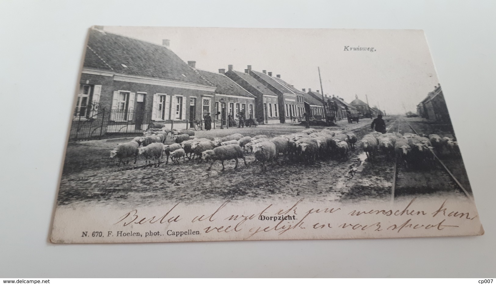 *KRUISWEG  Dorpzicht  Troupeau De Moutons Oblitéré En 1907 - Andere & Zonder Classificatie