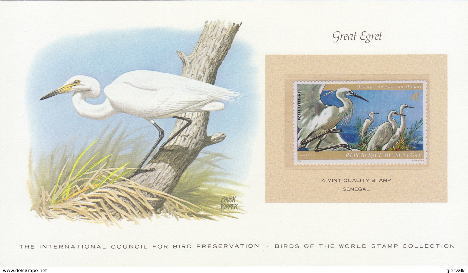 SENEGAL Great Egret.BARGAIN.!! - Andere & Zonder Classificatie