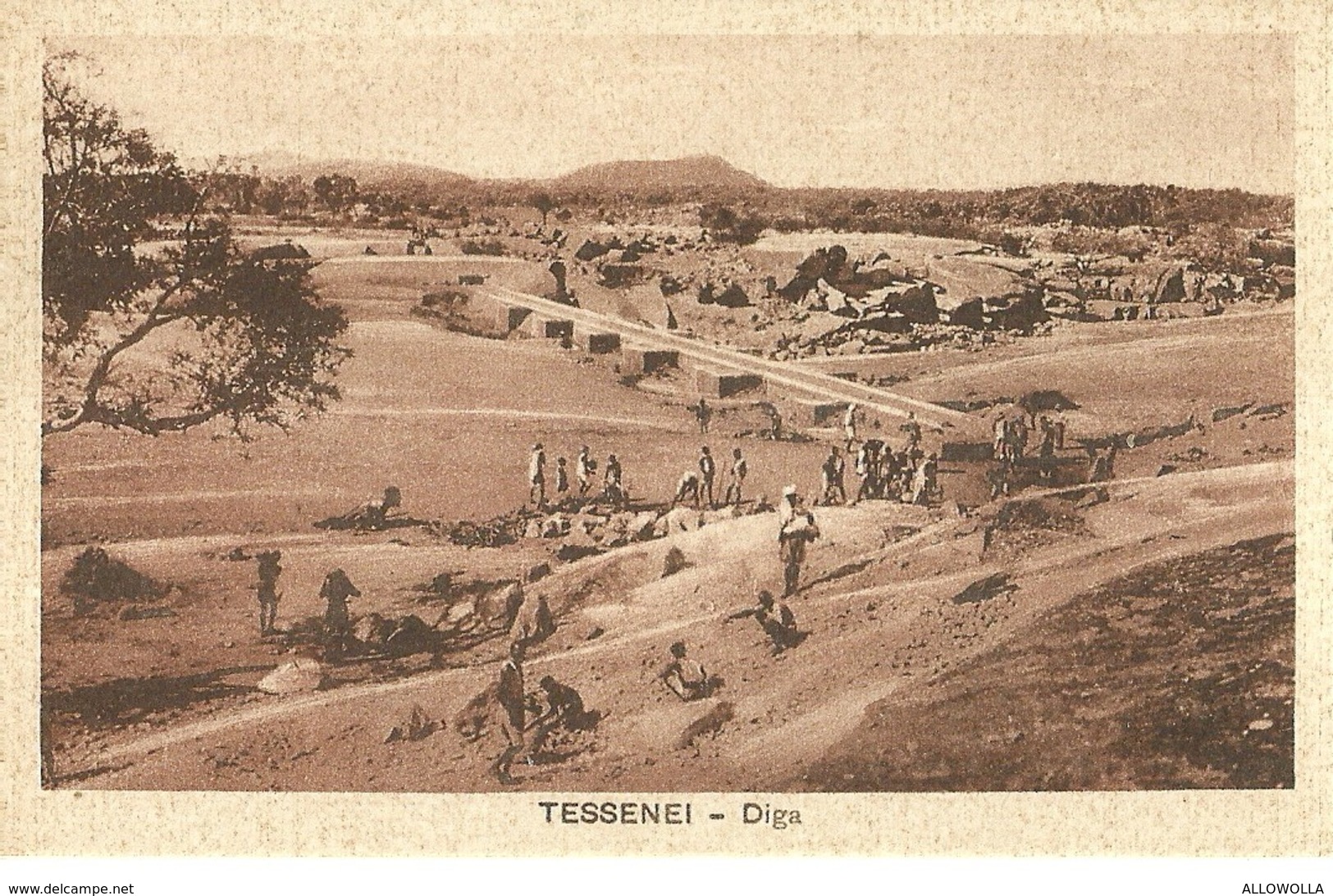 2766 " TESSENEI - DIGA " CART.POST. ORIG NON SPED. - Eritrea