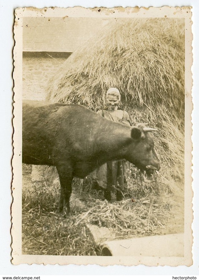 Femme Woman VACHE COW Paille Foin Campagne Beauty Paysan Agricole Animal Sepia - Personnes Anonymes