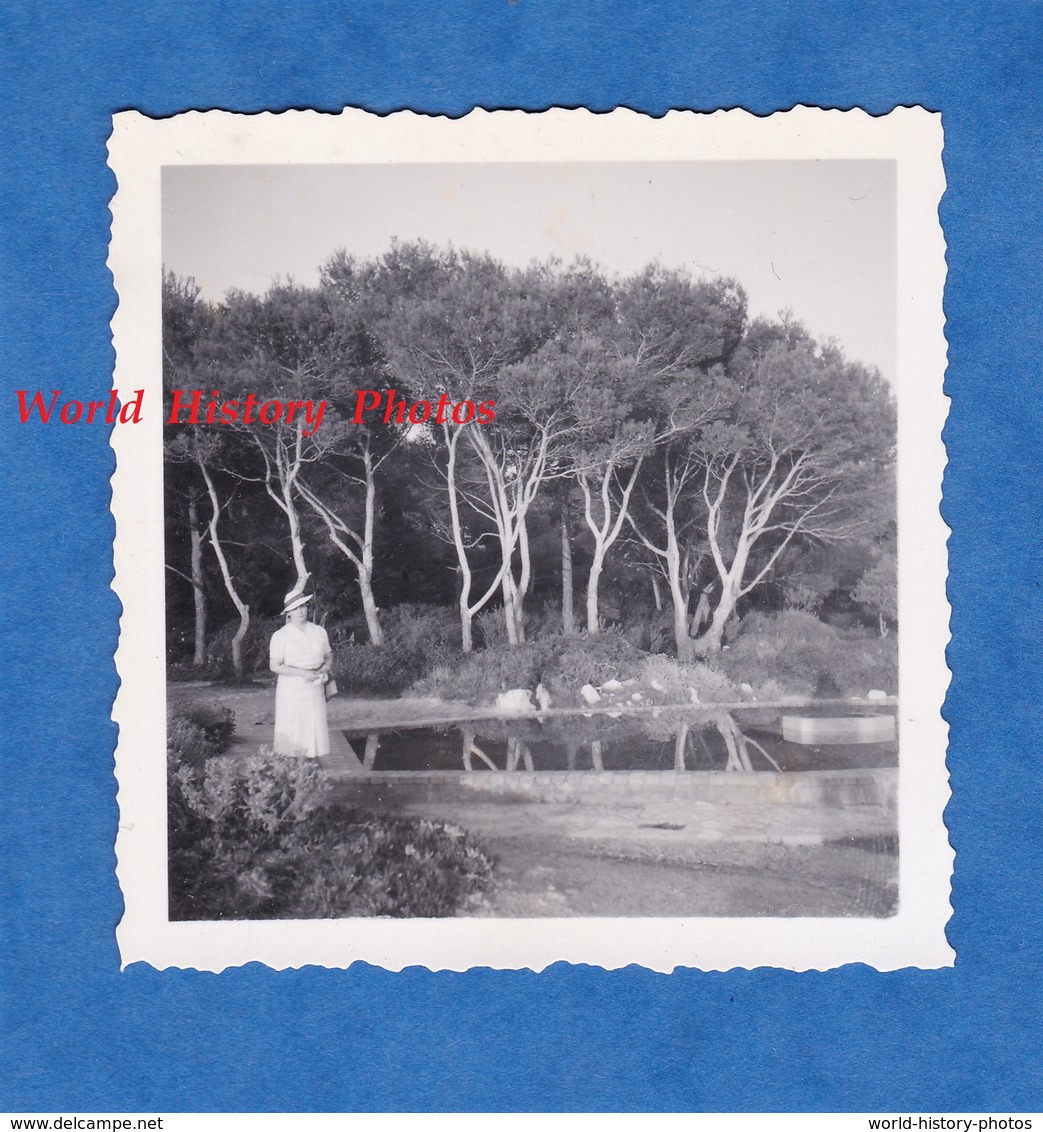 Photo Ancienne Snapshot - CAP D' ANTIBES Ou Environs - Coin à Situr - Prés Juan Les Pins Beaulieu Sur Mer Arbre Jardin - Lieux