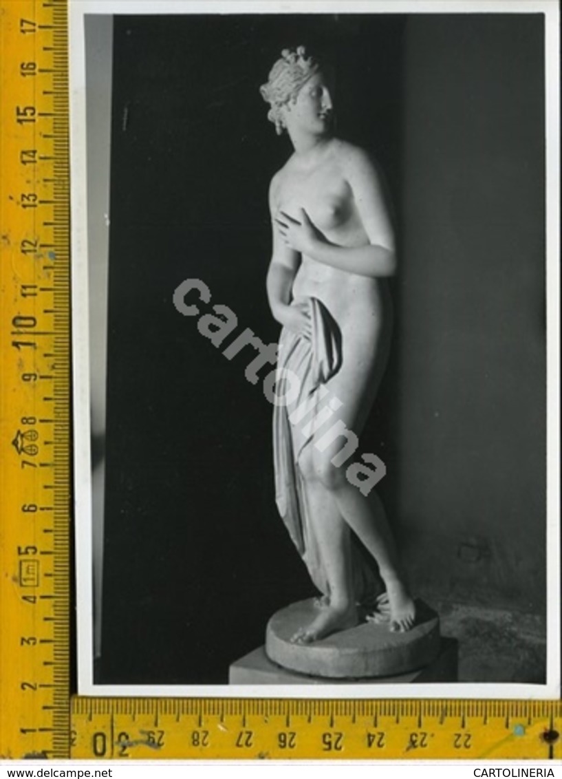 Treviso Possagno Canova (carta Fotografica Fine) - Treviso