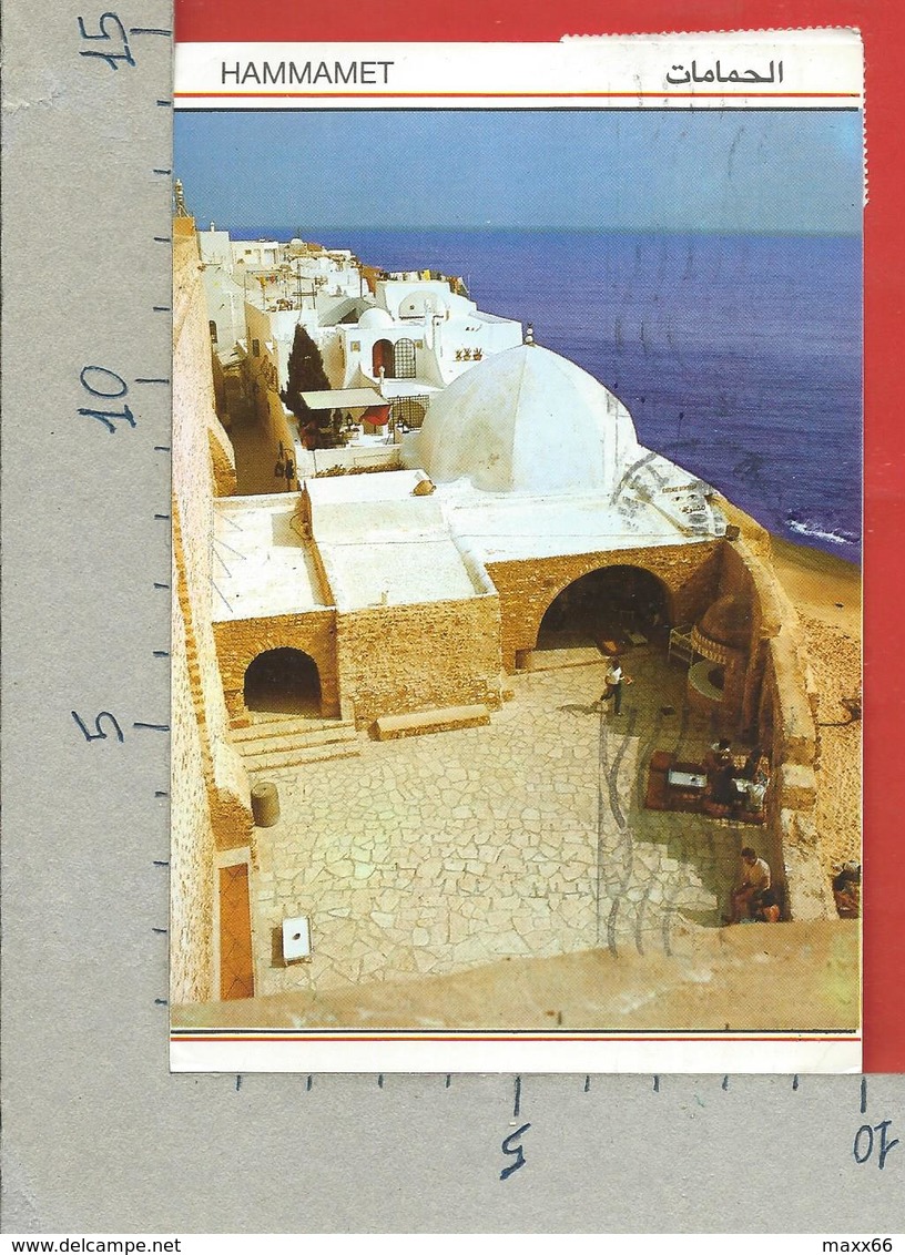 CARTOLINA VG TUNISIA - HAMMAMET - Cafè Sidi Bou Habib - 10 X 15 - ANN. 1990 - Tunisia