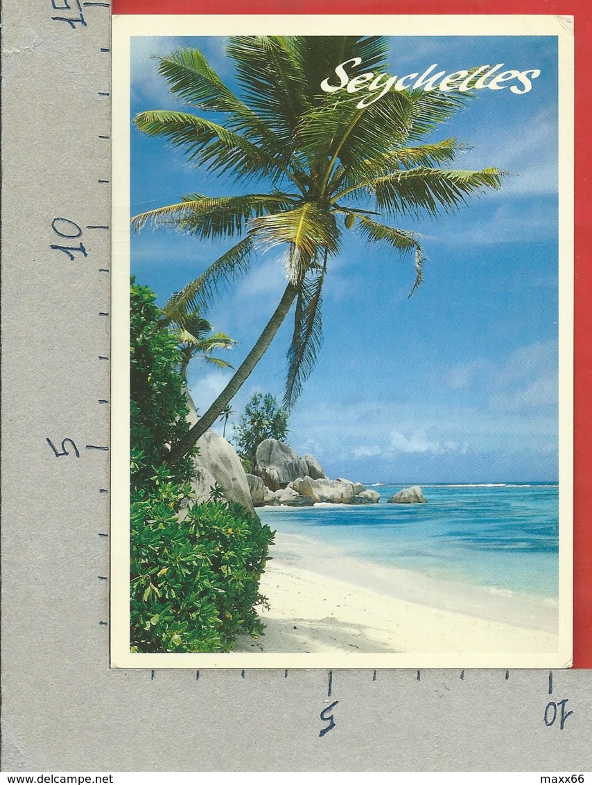 CARTOLINA VG SEYCHELLES - La Spiaggia - Palme E Mare - 10 X 15 - ANN. 1999 - Seychelles