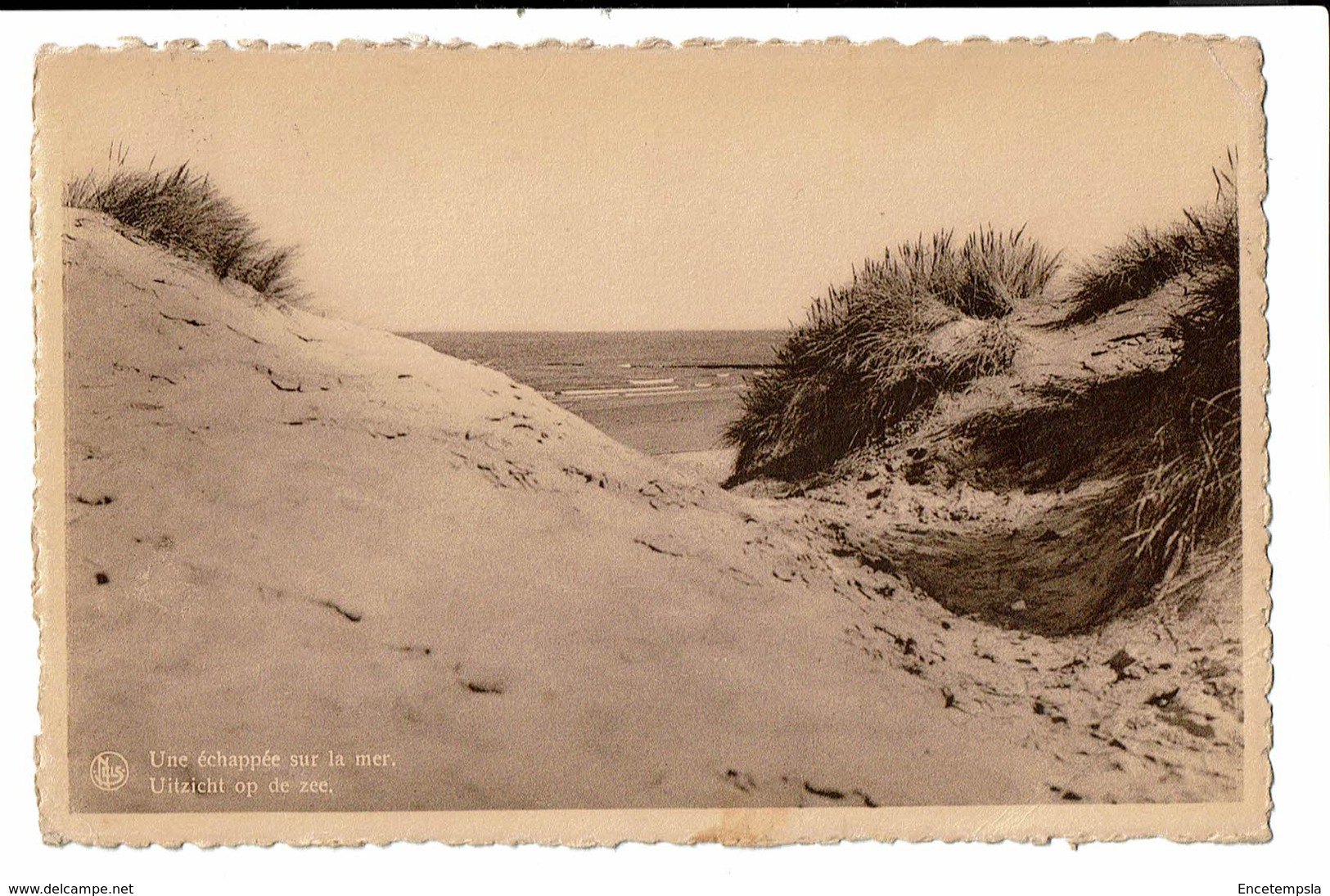 CPA - Carte Postale-Belgique Wenduine - -Uitzicht Op De Zee-1952 - VM755 - Wenduine