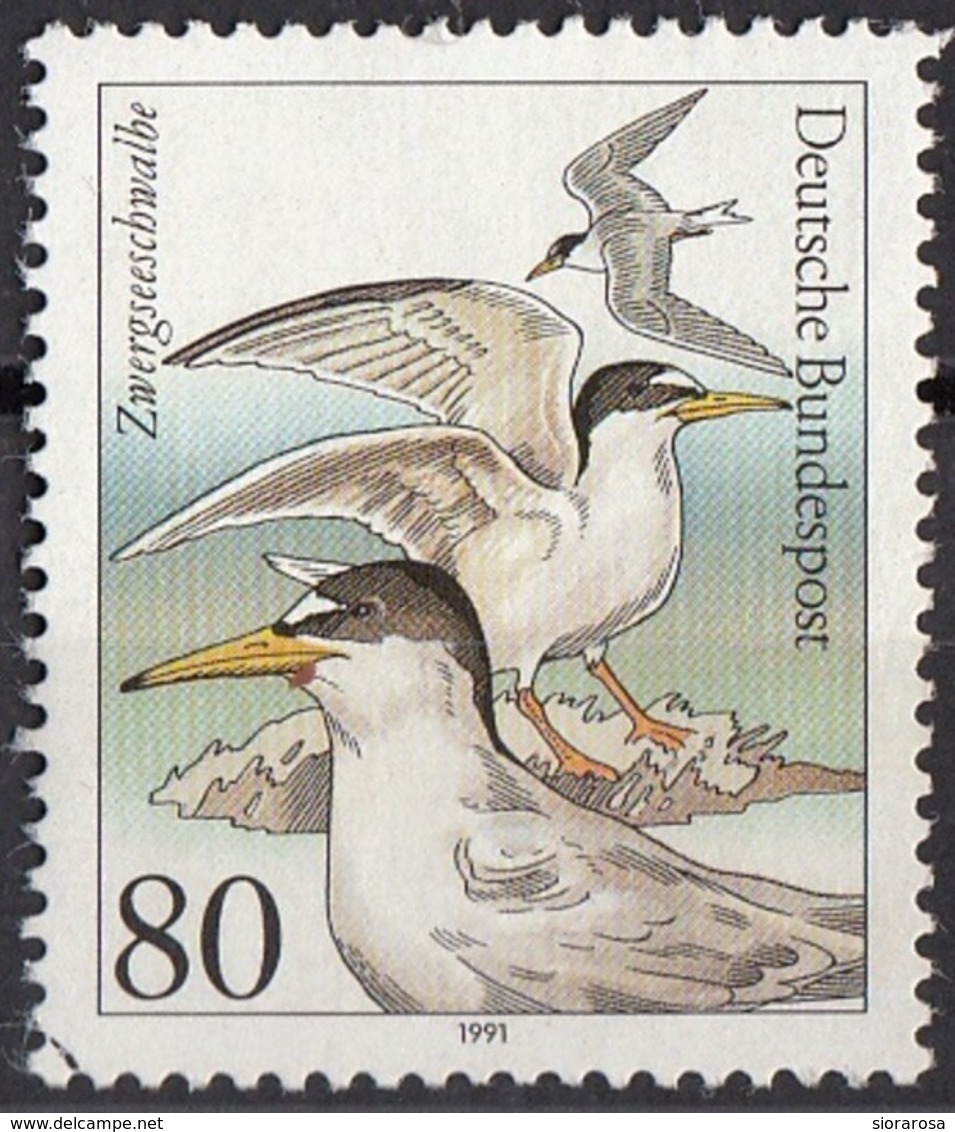 Germania 1991 Sc. 1650 Uccelli Marini Birds Fraticello  Sternula Albifrons Rondine Di Mare Viaggiato Used Germany - Hirondelles