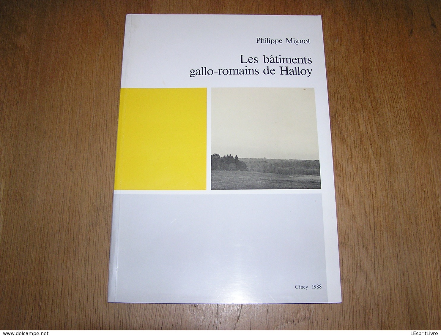 LES BÂTIMENTS GALLO ROMAINS DE HALLOY Régionalisme Ciney Archéologie Condroz Fouilles Faune Objets Gaule Romaine - België