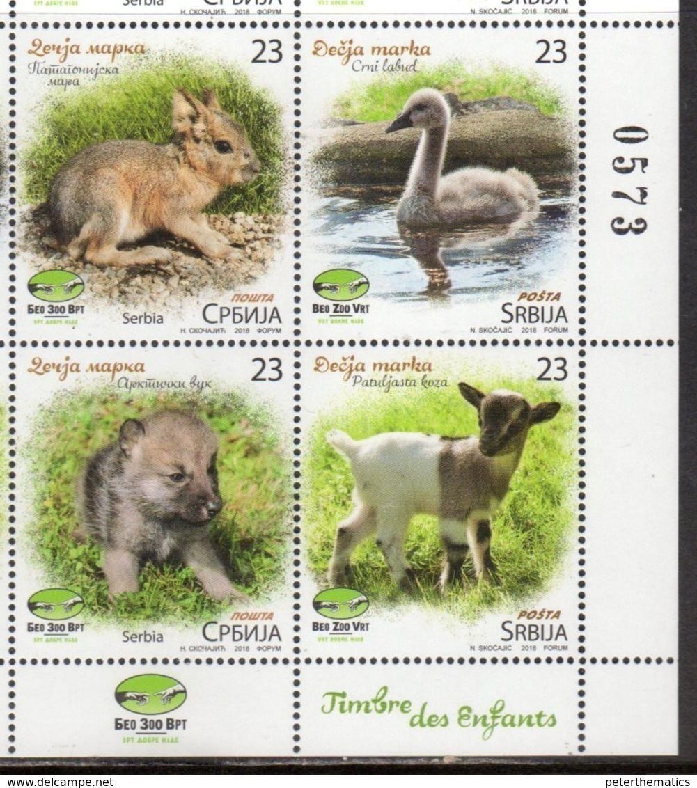 SERBIA, 2018, MNH, BELGRADE ZOO, BABY ANIMALS, BIRDS, CHILDREN'S STAMPS, 4v - Other & Unclassified