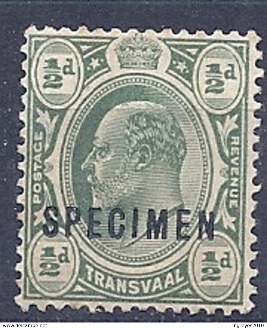 190031313   TRANSVALL  YVERT  Nº   177  */MH  SPECIMEN - Transvaal (1870-1909)