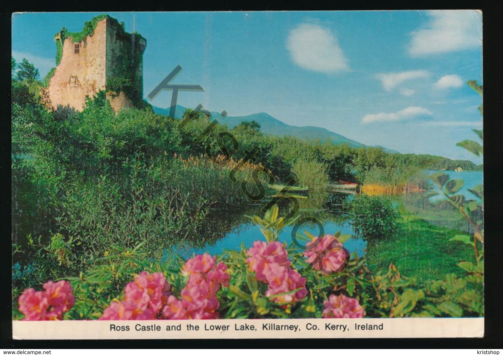 Ireland - Ross Castle And The Lower Lake - Killarney [AA36 2.390 - Sonstige & Ohne Zuordnung