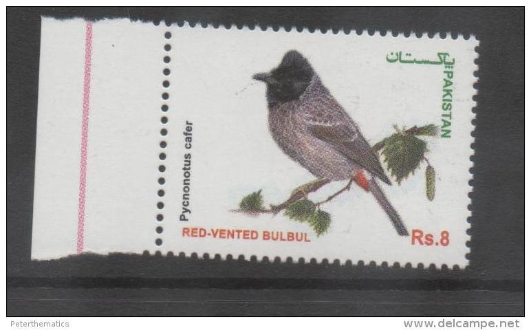 PAKISTAN ,2013,BIRDS,1v - Other & Unclassified