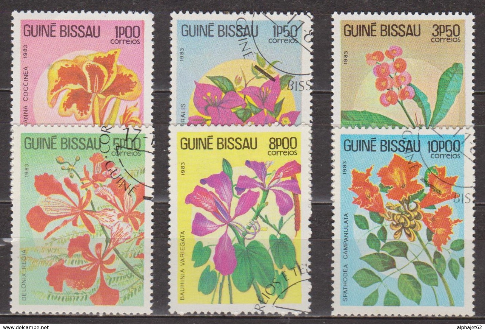 Flore, Fleurs - GUINEE BISSAU - Bougainvillée, Euphorbe, Hibiscus - N° 217 à 222 - 1984 - Guinée-Bissau