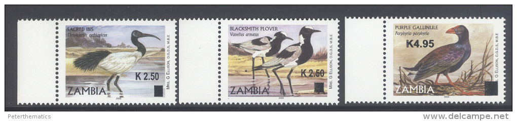 ZAMBIA  ,2014, MNH,BIRDS, PLOVER,IBIS, NEW OVERPRINTS, 3v - Other & Unclassified