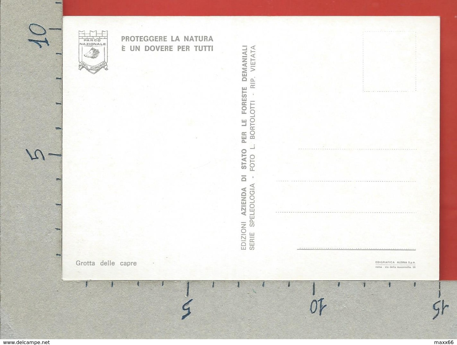 CARTOLINA NV ITALIA - CIRCEO - AZIENDA DI STATO FORESTE DEMANIALI - Grotta Delle Capre - 10 X 15 - Latina