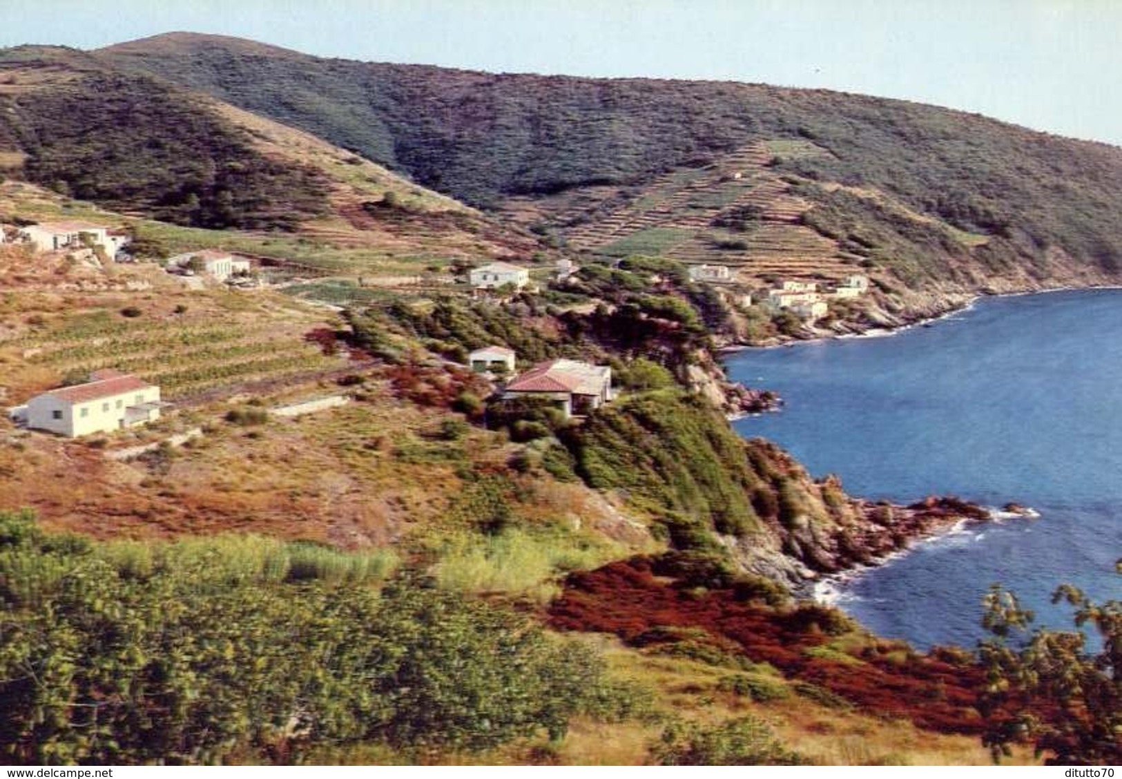 Portoferraio - Il Viticcio - Isola D'elba - 291 - Formato Grande Non Viaggiata – E 10 - Livorno