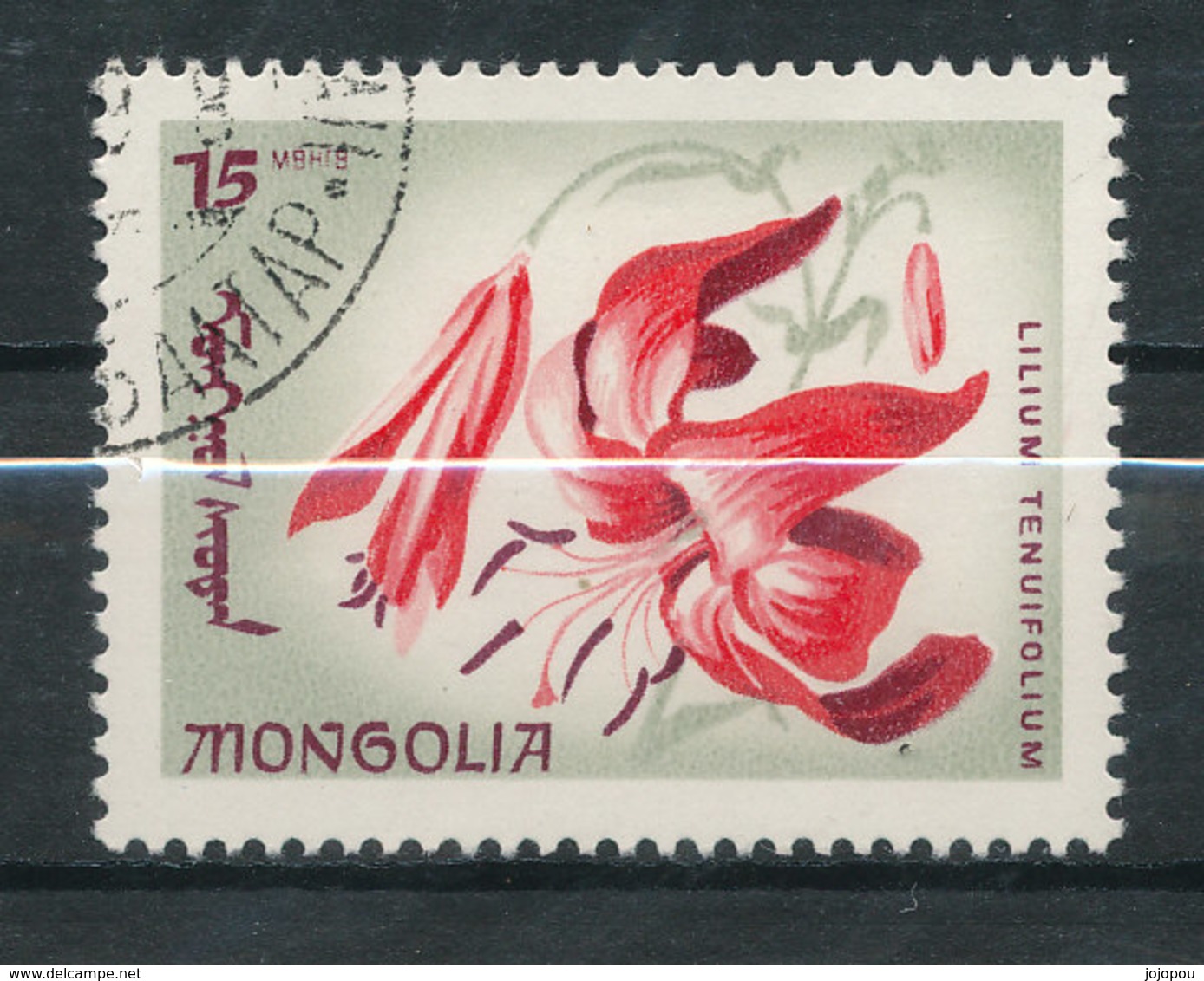 N° Yv 384 - Fleurs - Mongolie