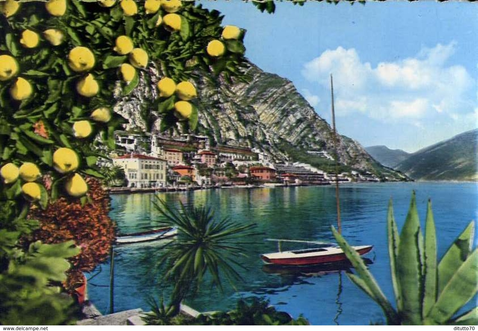 Limone - Lago Di Garda - 150 - Formato Grande Viaggiata Mancante Di Affrancatura – E 10 - Brescia