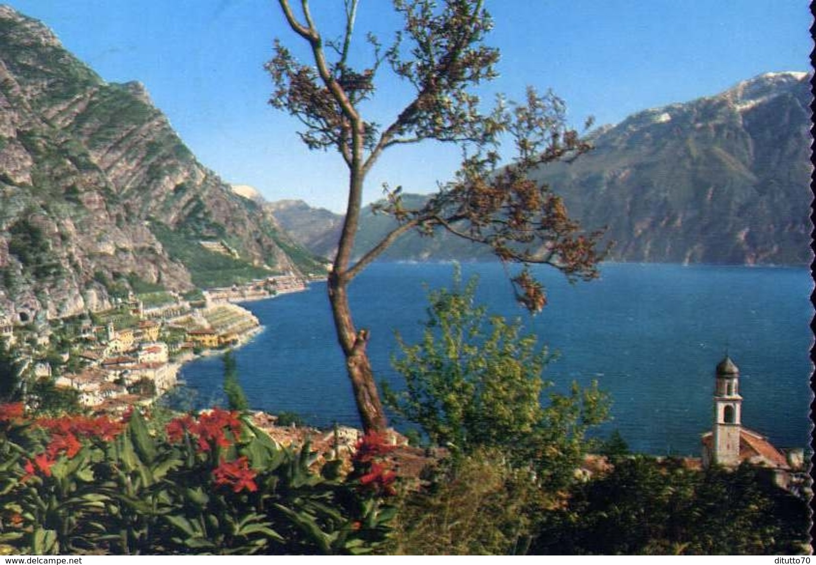 Limone - Panorama - Lago Di Garda - 2180 - Formato Grande Viaggiata – E 10 - Brescia