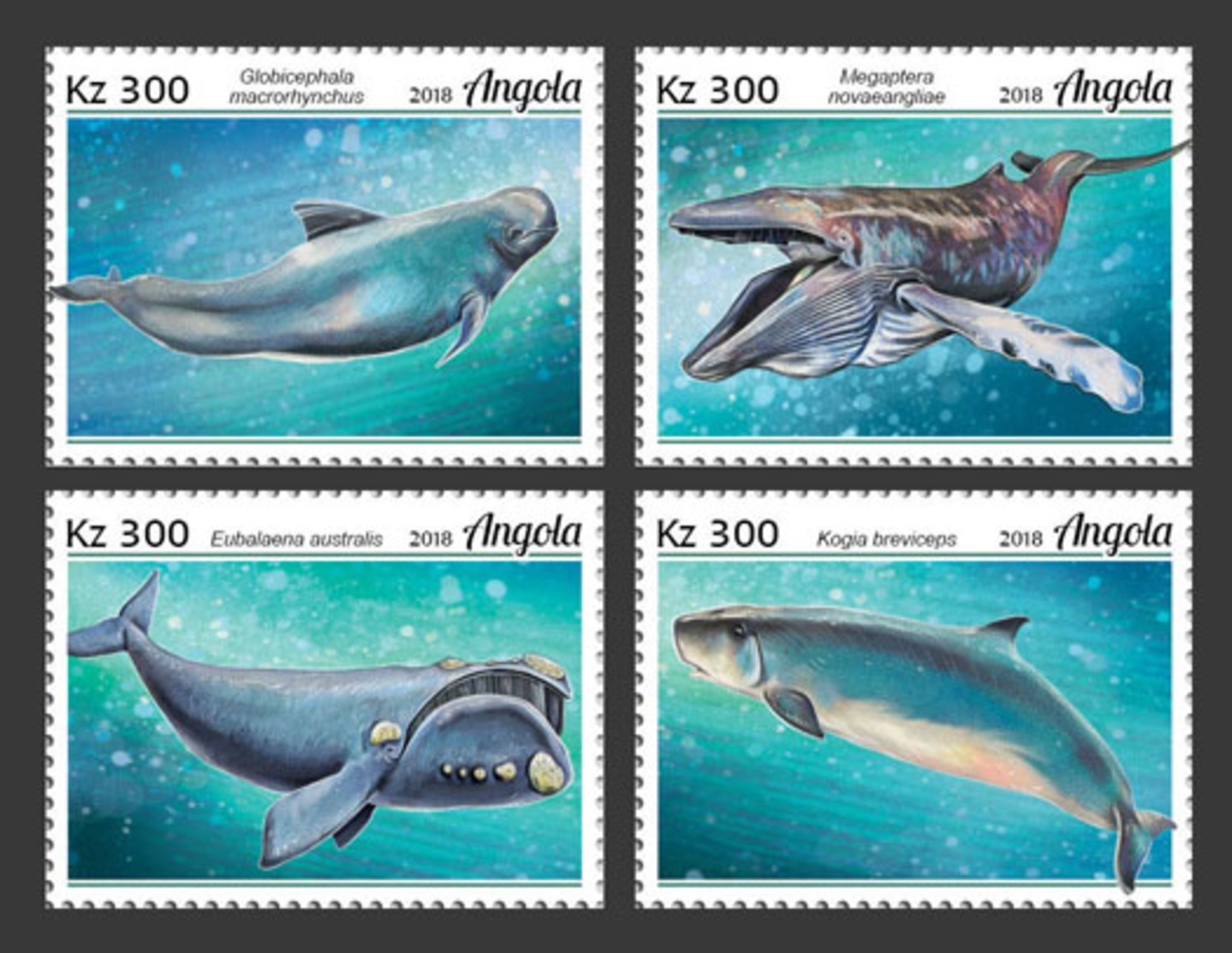 Z08 ANG18126a Angola 2018 Whales MNH ** Postfrisch - Angola