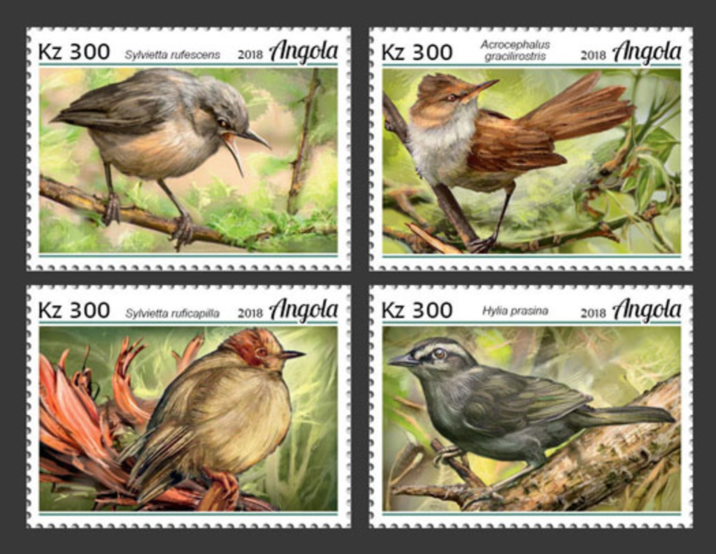 Z08 ANG18130a Angola 2018 Birds Vogel Warblers MNH ** Postfrisch - Angola