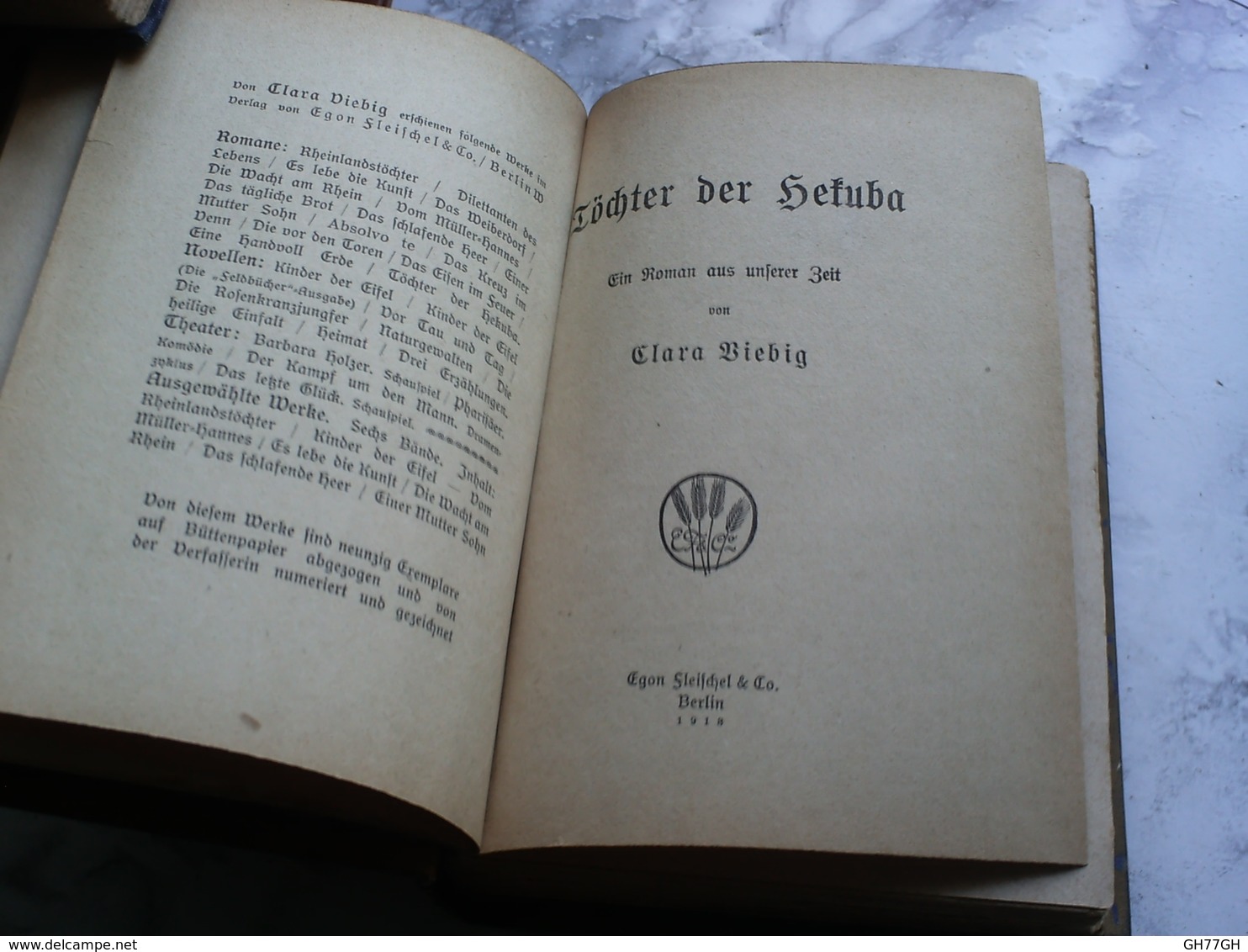 Clara Viebig. "Töchter Der Hekuba" 1918 -chez Egon Fleischl & Co - German Authors