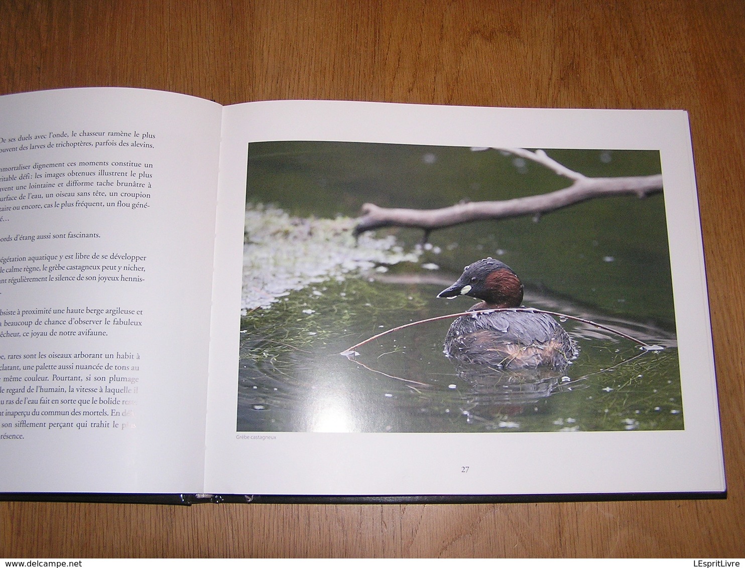 ARDENNE De Sève et de Sang Philippe Moës Epuisé Régionalisme Nature Cerf Sanglier Oiseaux Animaux Forêt Brâme