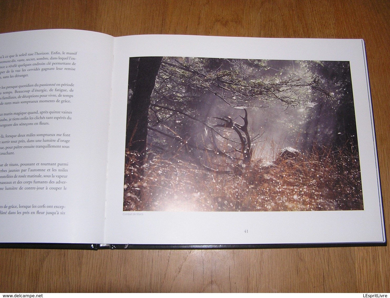 ARDENNE De Sève et de Sang Philippe Moës Epuisé Régionalisme Nature Cerf Sanglier Oiseaux Animaux Forêt Brâme