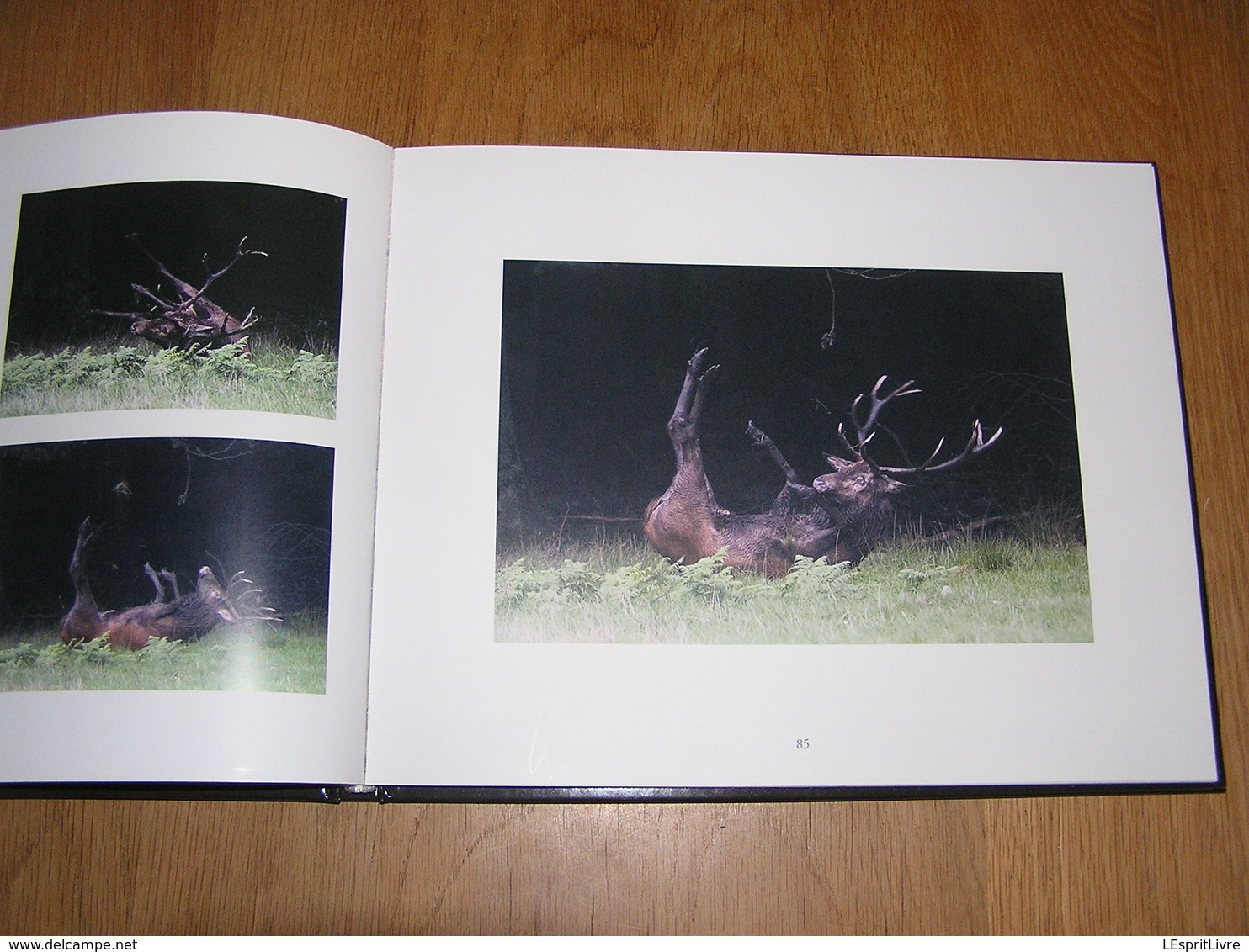 ARDENNE De Sève et de Sang Philippe Moës Epuisé Régionalisme Nature Cerf Sanglier Oiseaux Animaux Forêt Brâme