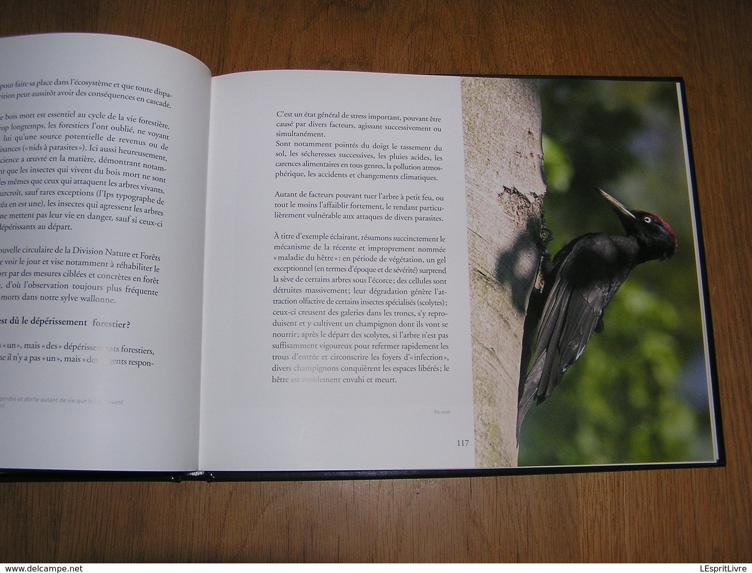 ARDENNE De Sève et de Sang Philippe Moës Epuisé Régionalisme Nature Cerf Sanglier Oiseaux Animaux Forêt Brâme