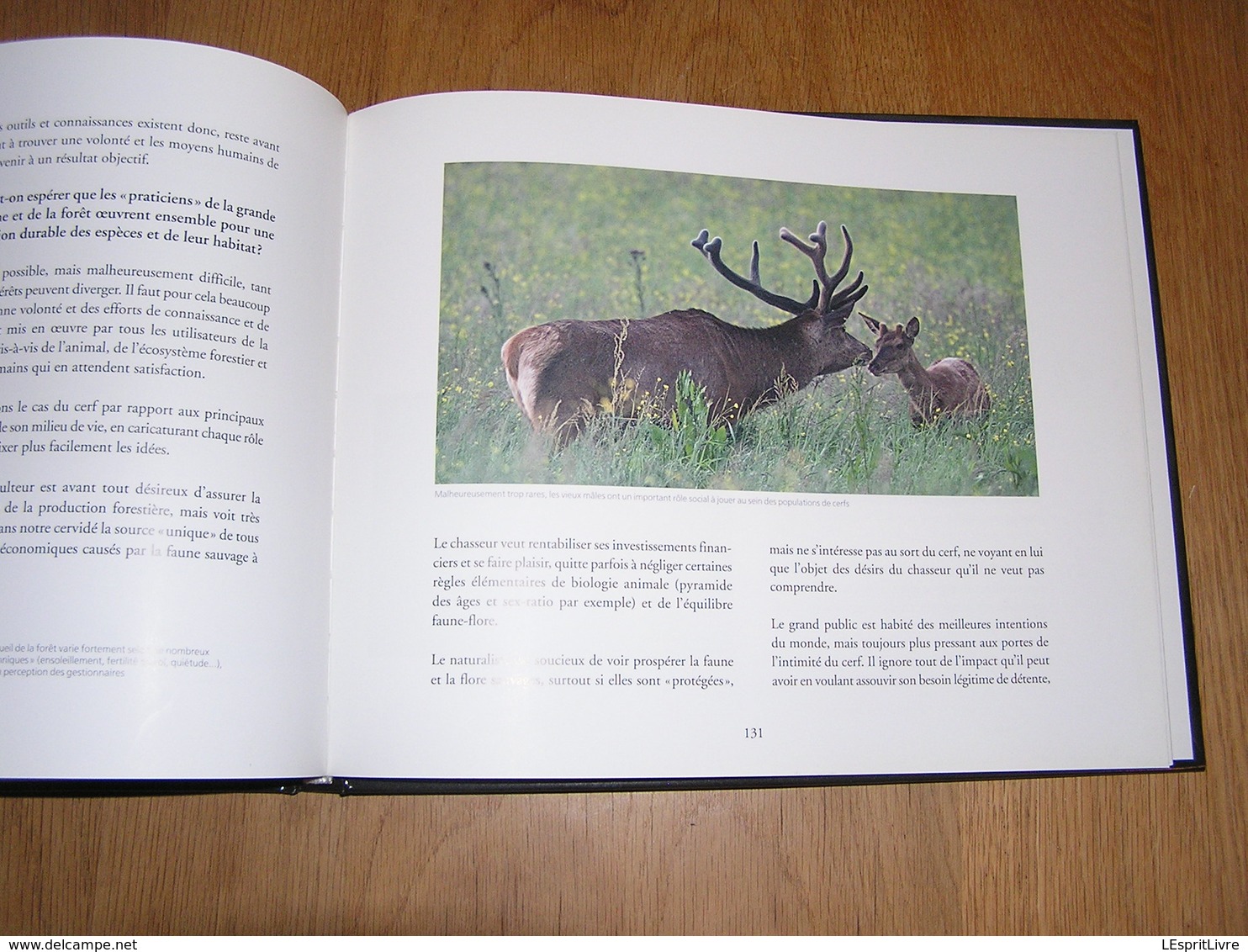 ARDENNE De Sève et de Sang Philippe Moës Epuisé Régionalisme Nature Cerf Sanglier Oiseaux Animaux Forêt Brâme