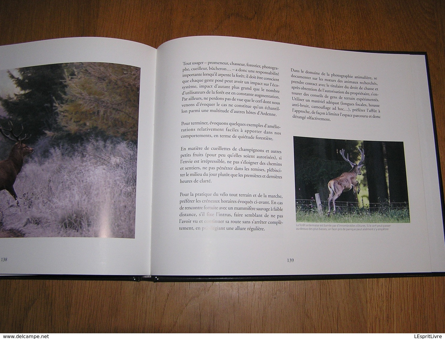 ARDENNE De Sève et de Sang Philippe Moës Epuisé Régionalisme Nature Cerf Sanglier Oiseaux Animaux Forêt Brâme