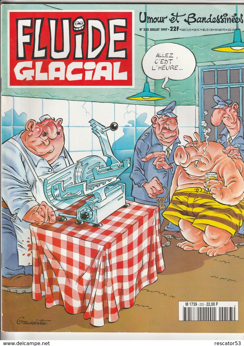 Rare Revue Fluide Glacial N°253 Juillet 1997 - Fluide Glacial