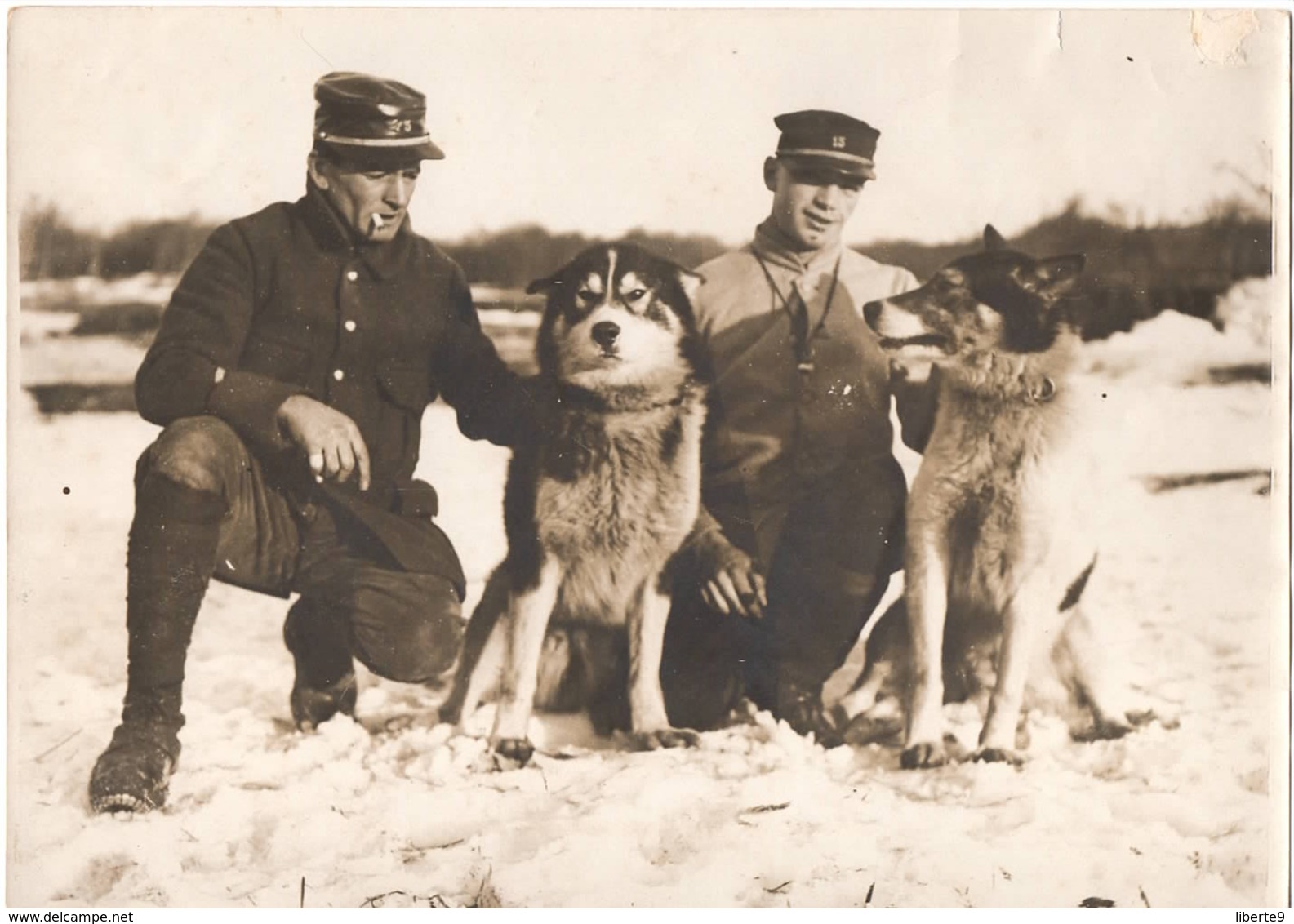 Militaire 15e Régiment D Infanterie Chien D Alaska C.1917 Chiens De Traineau Gde Photo De L Armée 2 Scans Guerre 1914-18 - Guerre, Militaire