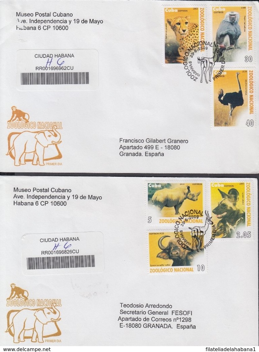 2009-FDC-66 CUBA FDC 2009. REGISTERED COVER TO SPAIN. ZOO, HYPO, TIGER, FELINE, AVESTRUZ, MONO, MONKEY. - FDC