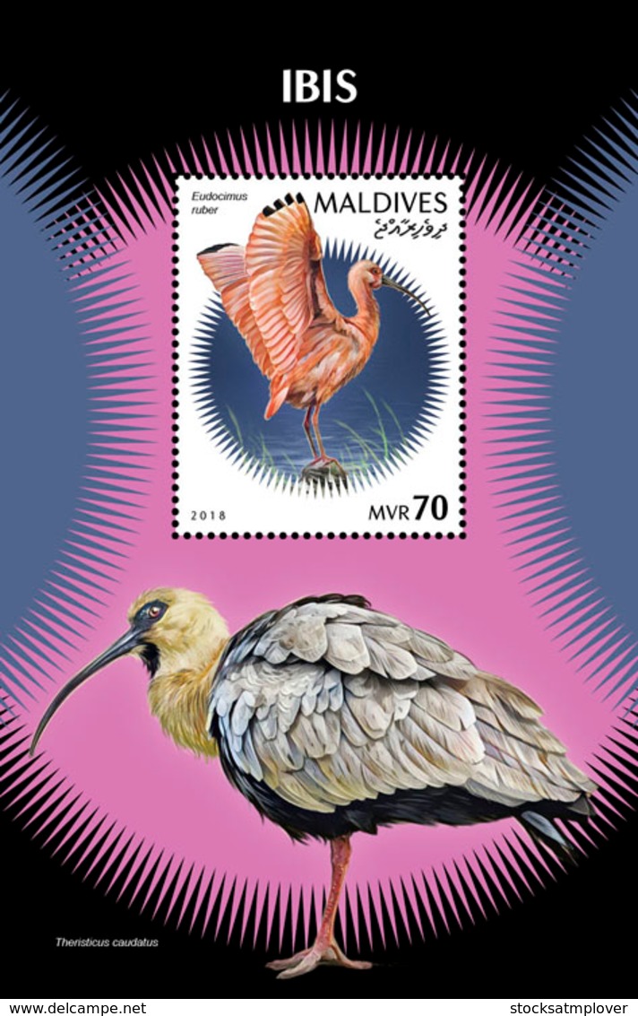 Maldives  2018    Fauna  Ibis  Birds  S201901 - Maldives (1965-...)