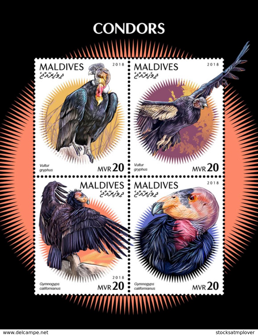 Maldives  2018   Condors  Eagle  Fauna  S201901 - Maldiven (1965-...)