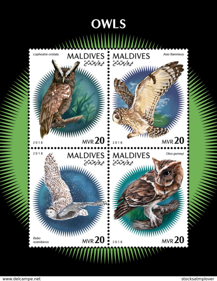 Maldives  2018    Fauna  Owls  S201901 - Maldives (1965-...)