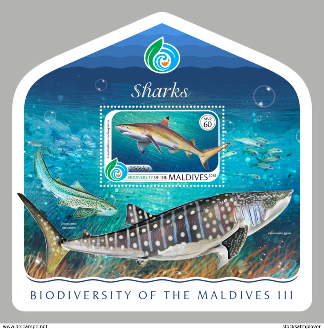 Maldives  2018    Fauna  Fishes Sharks  S201901 - Maldives (1965-...)