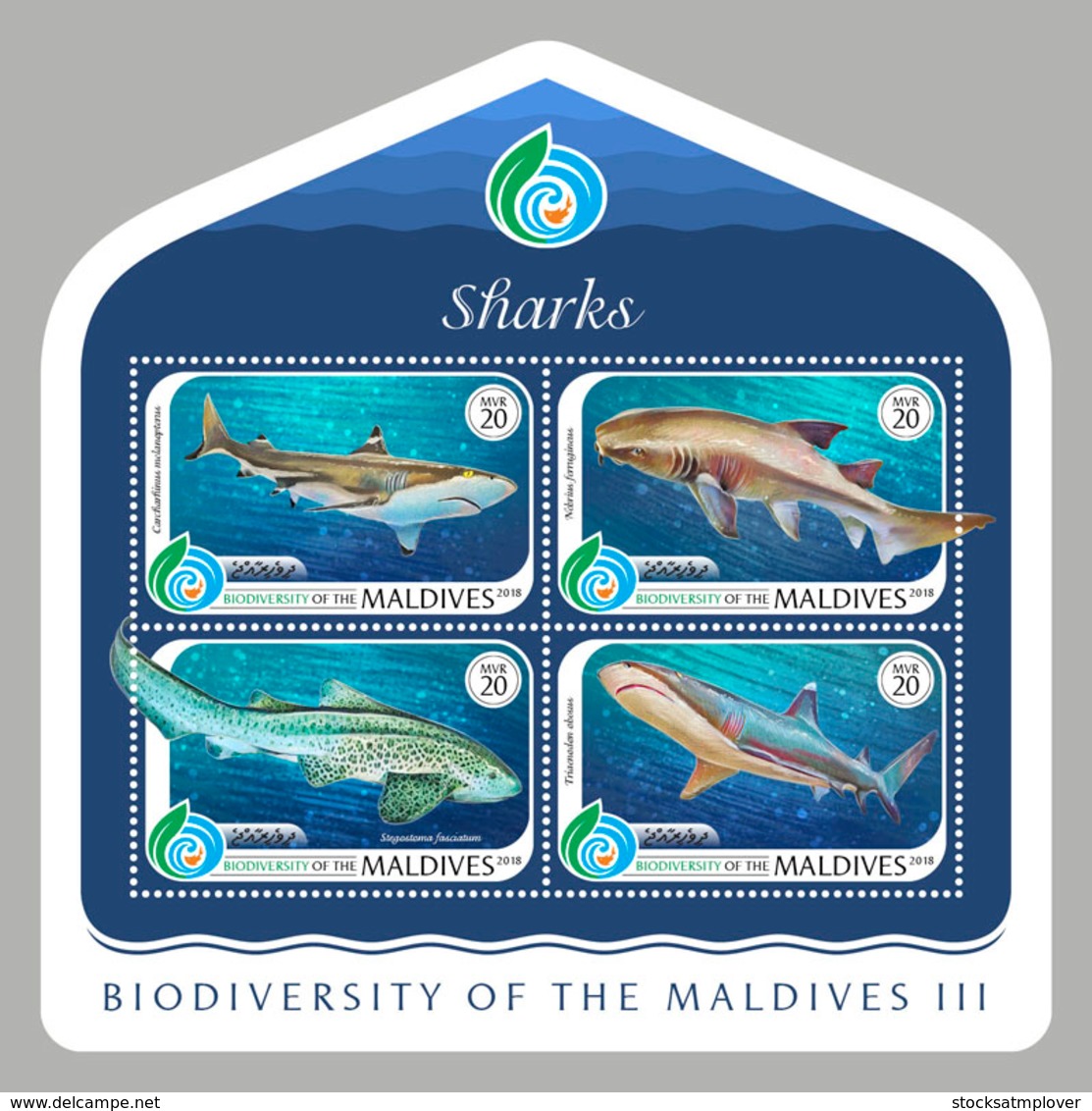 Maldives  2018    Fauna  Fishes Sharks  S201901 - Maldives (1965-...)