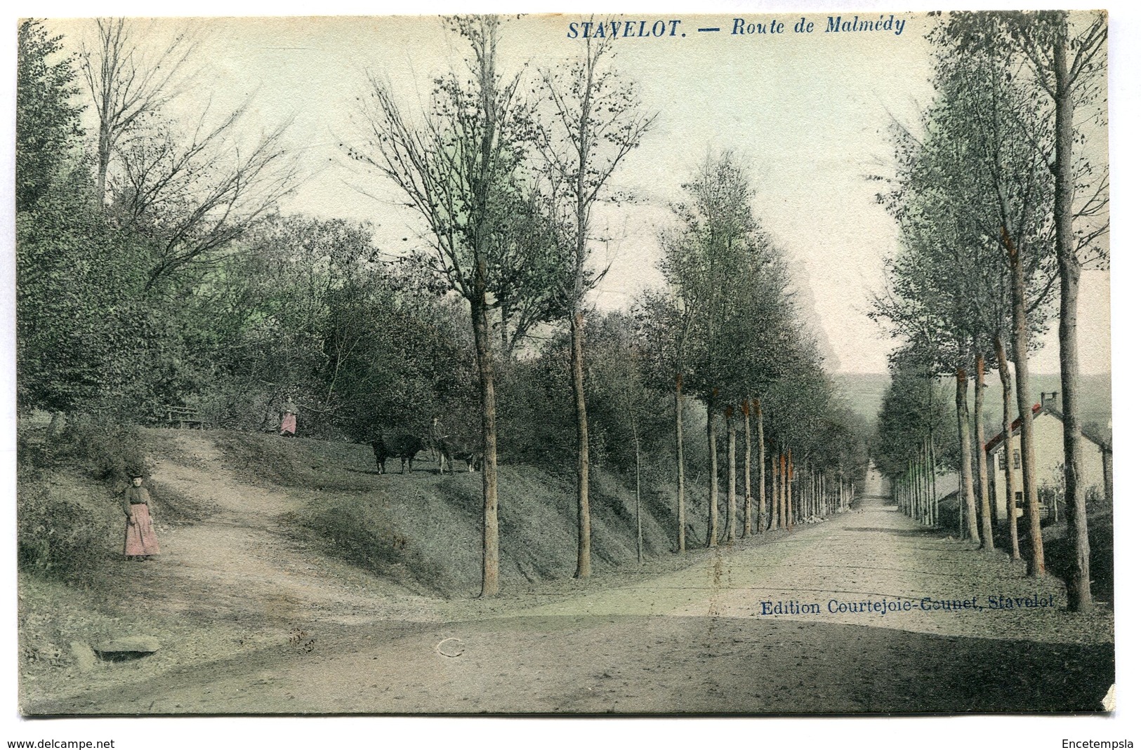 CPA - Carte Postale - Belgique - Stavelot - Route De Malmédy - 1912 (M7430) - Stavelot