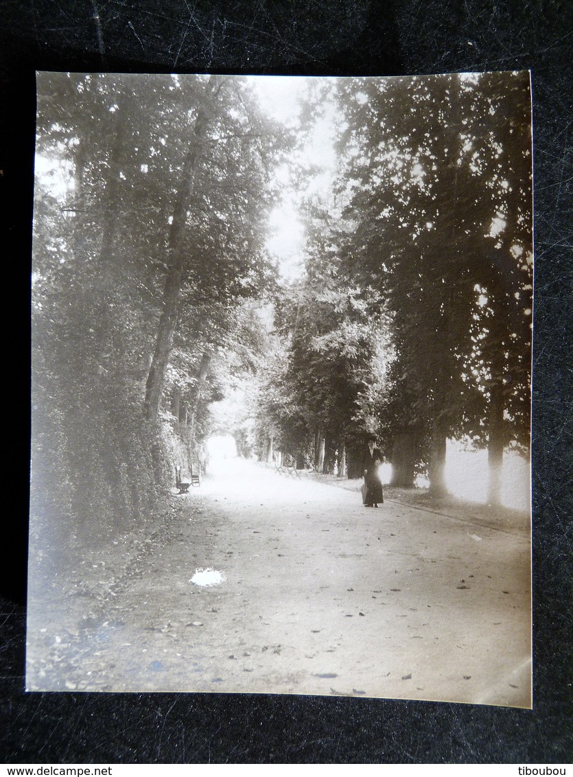 ALLEE SULLY CHATEAU DE FONTAINEBLEAU - SEINE ET MARNE - PHOTO ORIGINALE - Lieux