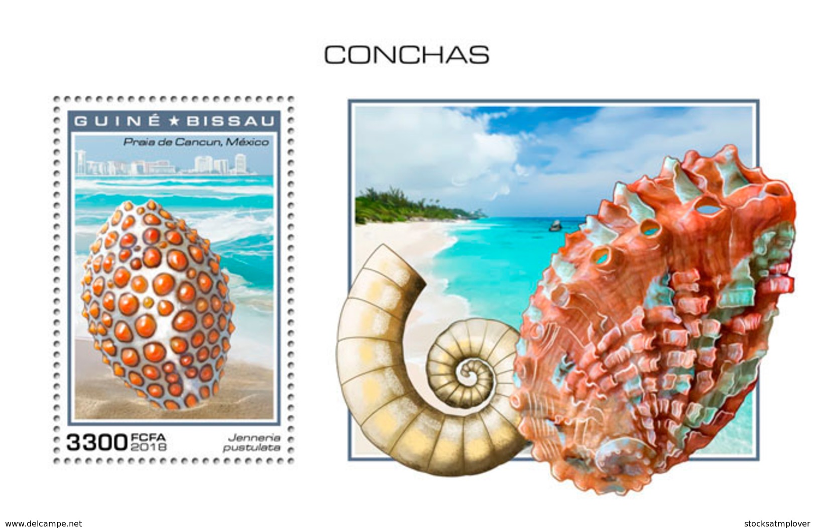 Guinea Bissau   2018   Shells  S201901 - Guinea-Bissau