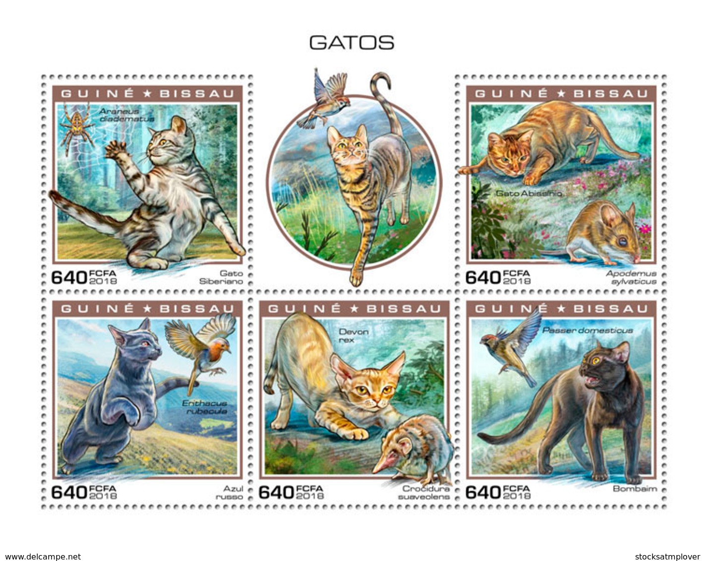 Guinea Bissau   2018  Fauna  Cats   S201901 - Guinea-Bissau