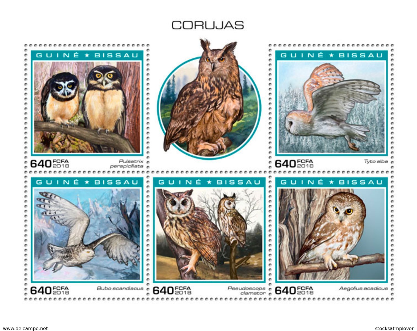 Guinea Bissau   2018  Fauna Owls    S201901 - Guinée-Bissau